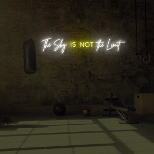 The Sky is Not the Limit Neon Signs