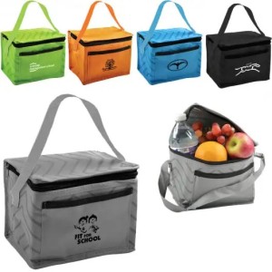 Patterned Lunch Coolers