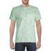 Adult T-Shirt Comfort Colors 1745 Fern
