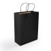 Express Medium Paper Bags