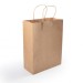 Express Medium Paper Bags