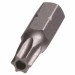 SS Security Screws T25